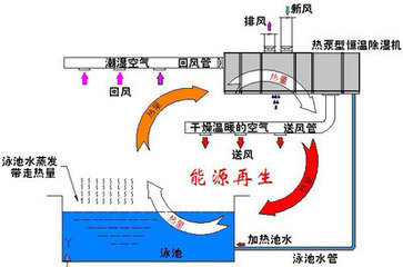 泳池水處理設備之恒溫水池